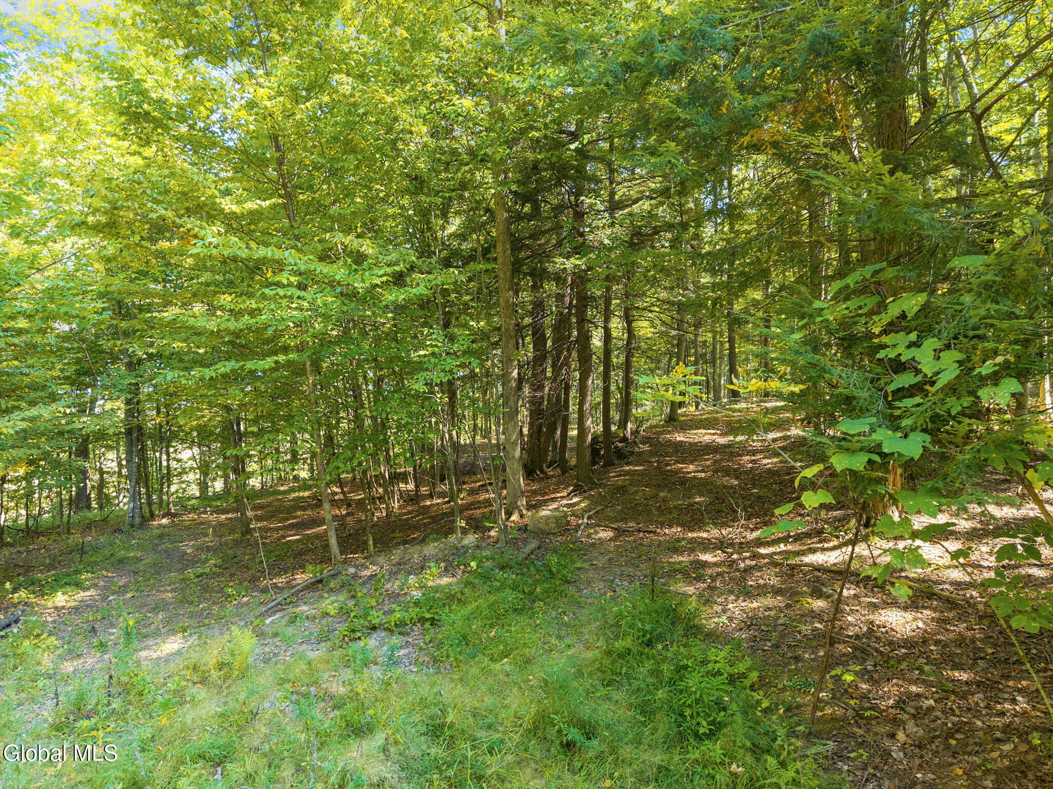 114 Jones Road Sharon, NY 13459 - Photo 35 of 54 77-114JonesRd_71