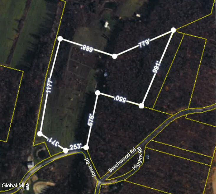 114 Jones Road Sharon, NY 13459 - Photo 50 of 54 114 Jones Rd map