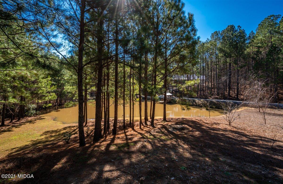 725 Taylor Road Juliette, GA 31046 - Photo 47 of 62 a view of a yard with trees