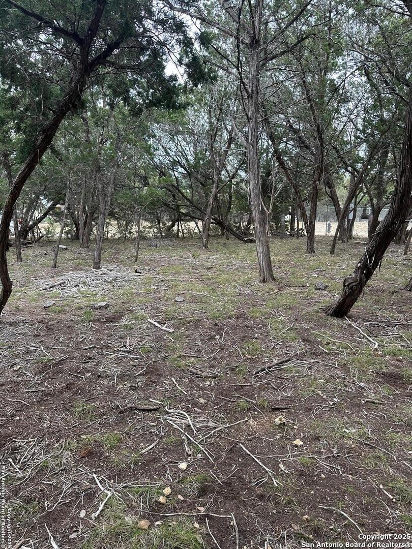 239 Comanche Path Bandera, TX 78003 - Photo 4 of 9