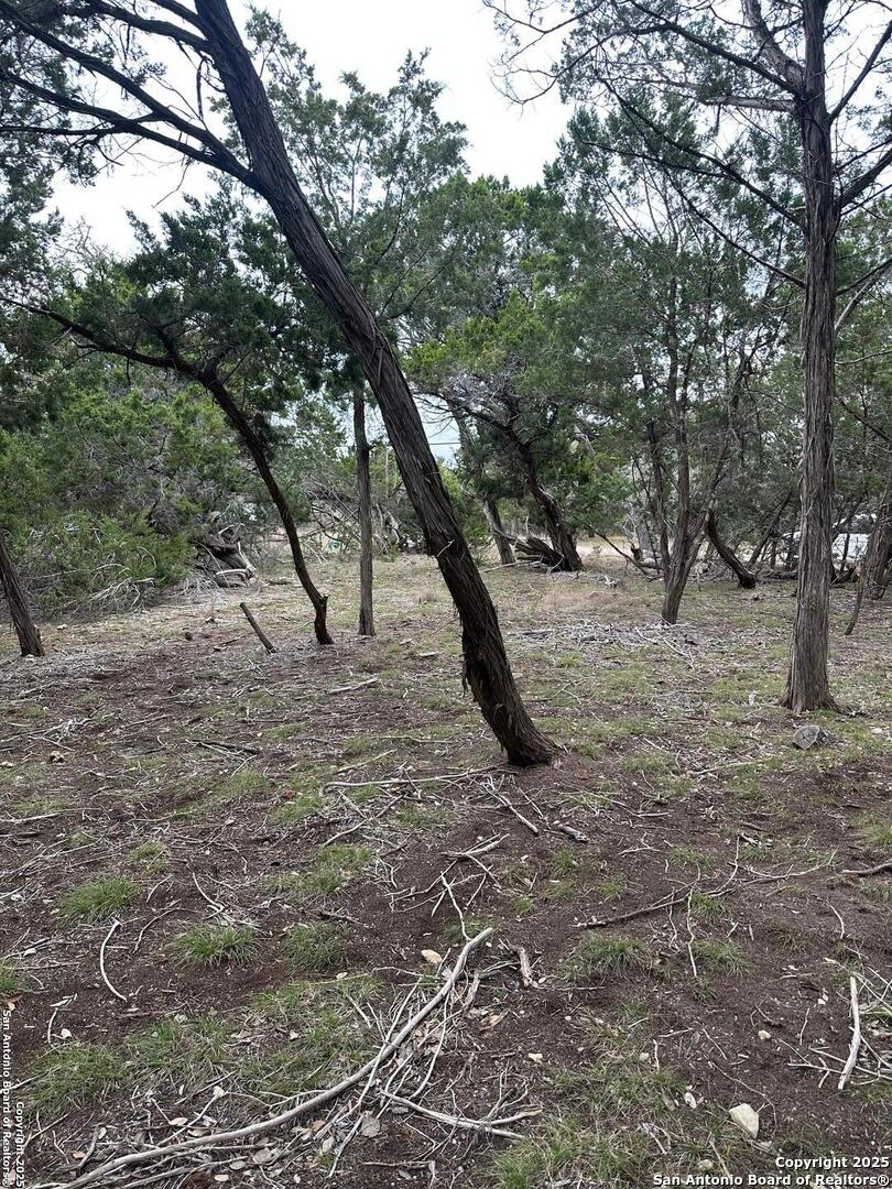 239 Comanche Path Bandera, TX 78003 - Photo 6 of 9