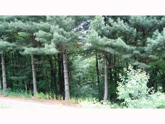 10775 Peatmoss Road Utica, OH 43080 - Photo 7 of 11 Gallery Image 7