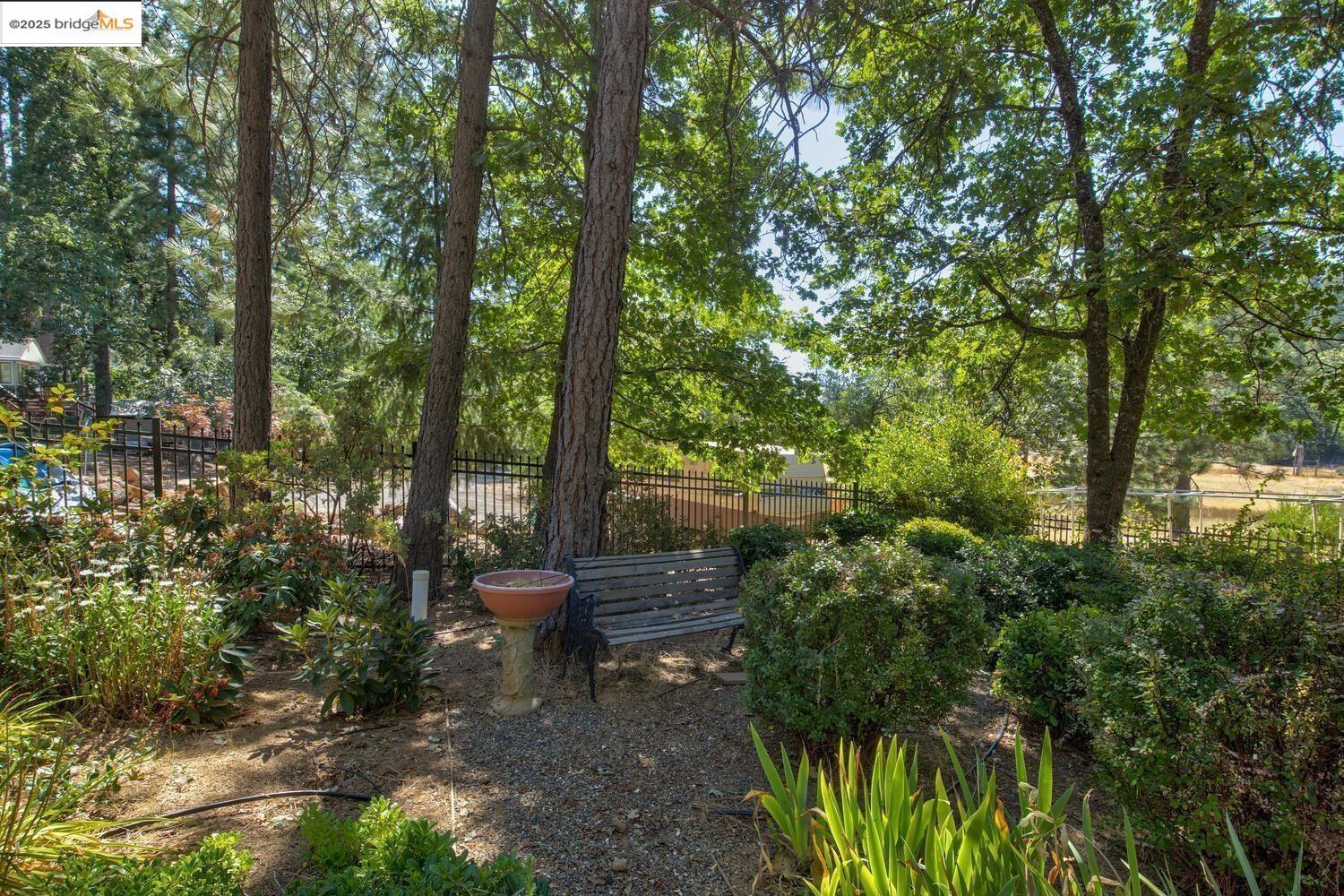 105 Avery Sheep Ranch Road Avery, CA 95224 - Photo 48 of 59 Gallery Image 48