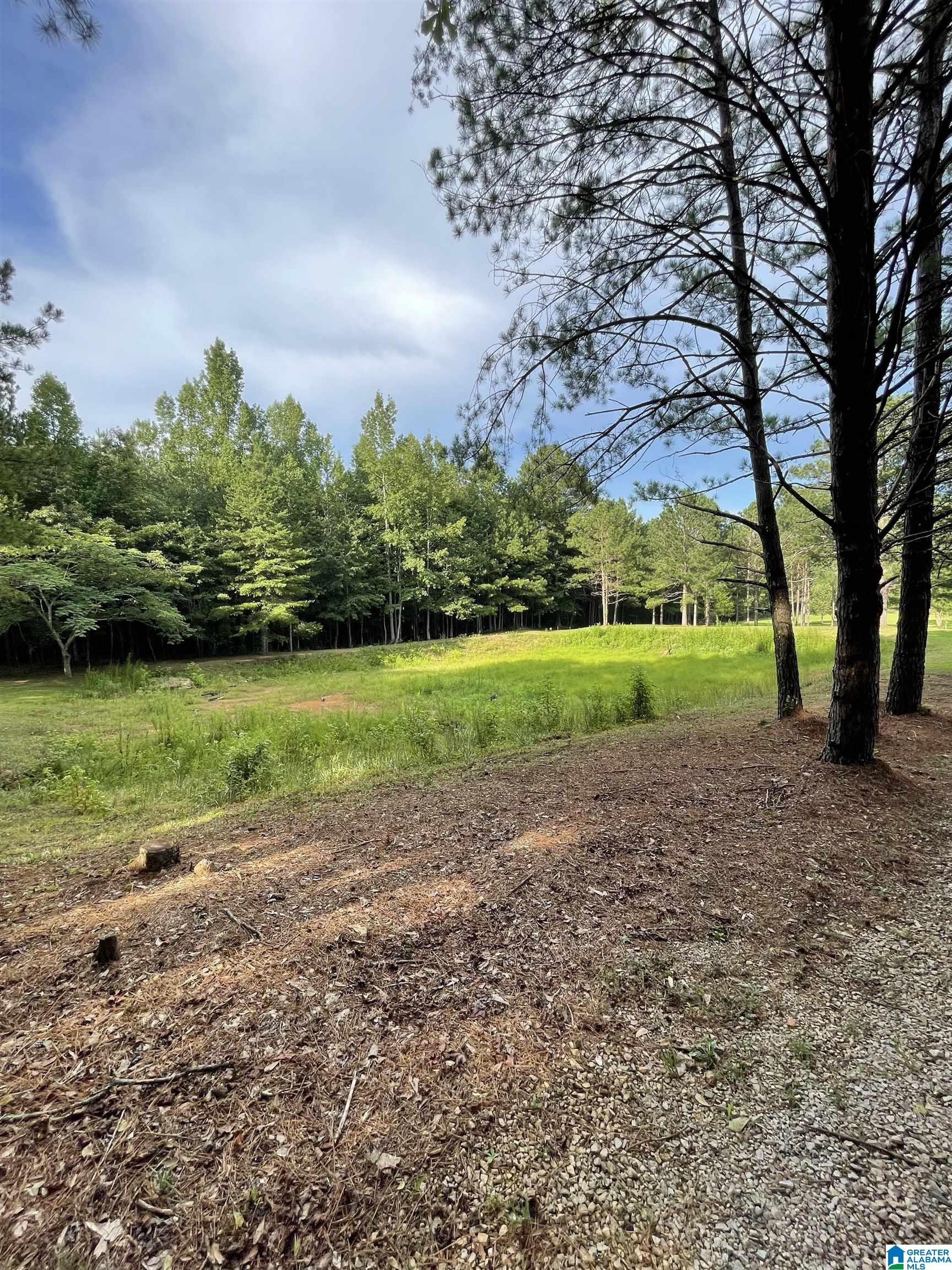 2647 Rabbittown Road Piedmont, AL 36272 - Photo 41 of 57