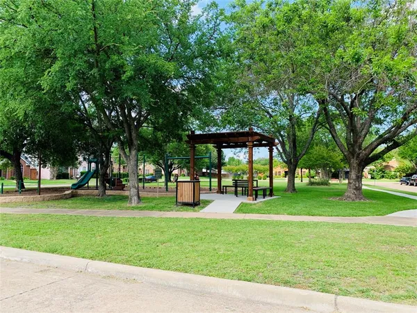 a view of a park with plants and trees