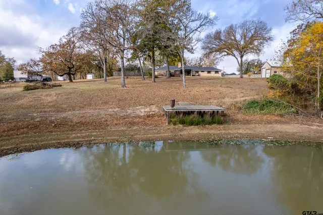 a view of a small yard and large trees