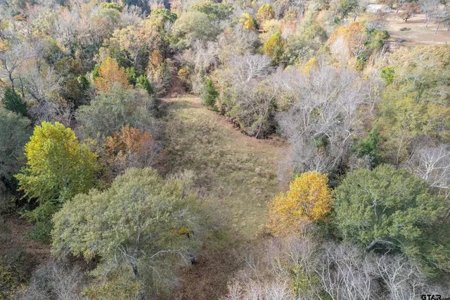 $625,000 | 2906 Vz Creek, Ben Wheeler, TX 75754