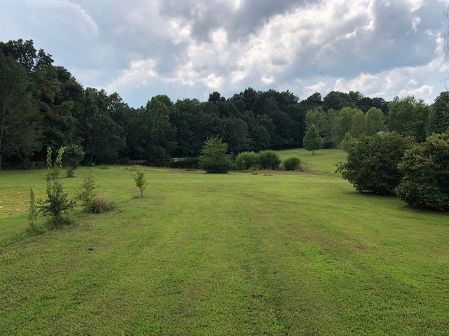 229 Poplar Grove Road Summer Shade, KY 42166 - Photo 15 of 21 Gallery Image 15