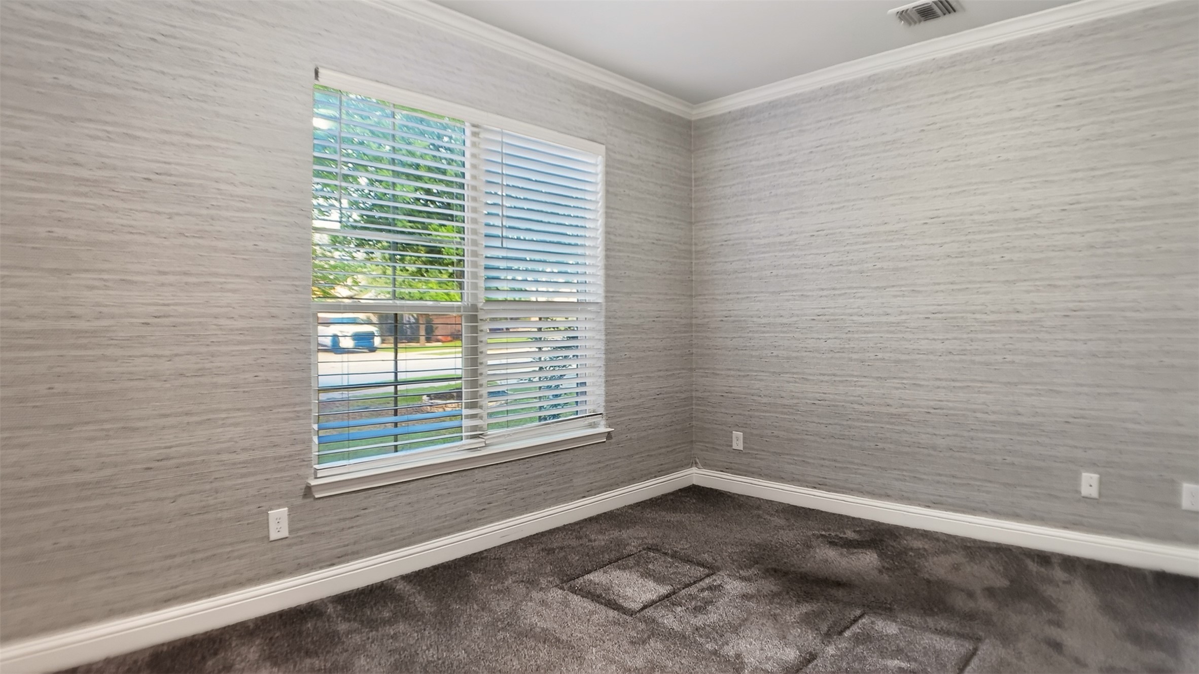 1505 Long Shadow Lane Georgetown, TX 78628 - Photo 6 of 28 Room featuring textured wall covering, a large window with horizontal blinds, plush carpeting, and white trim molding