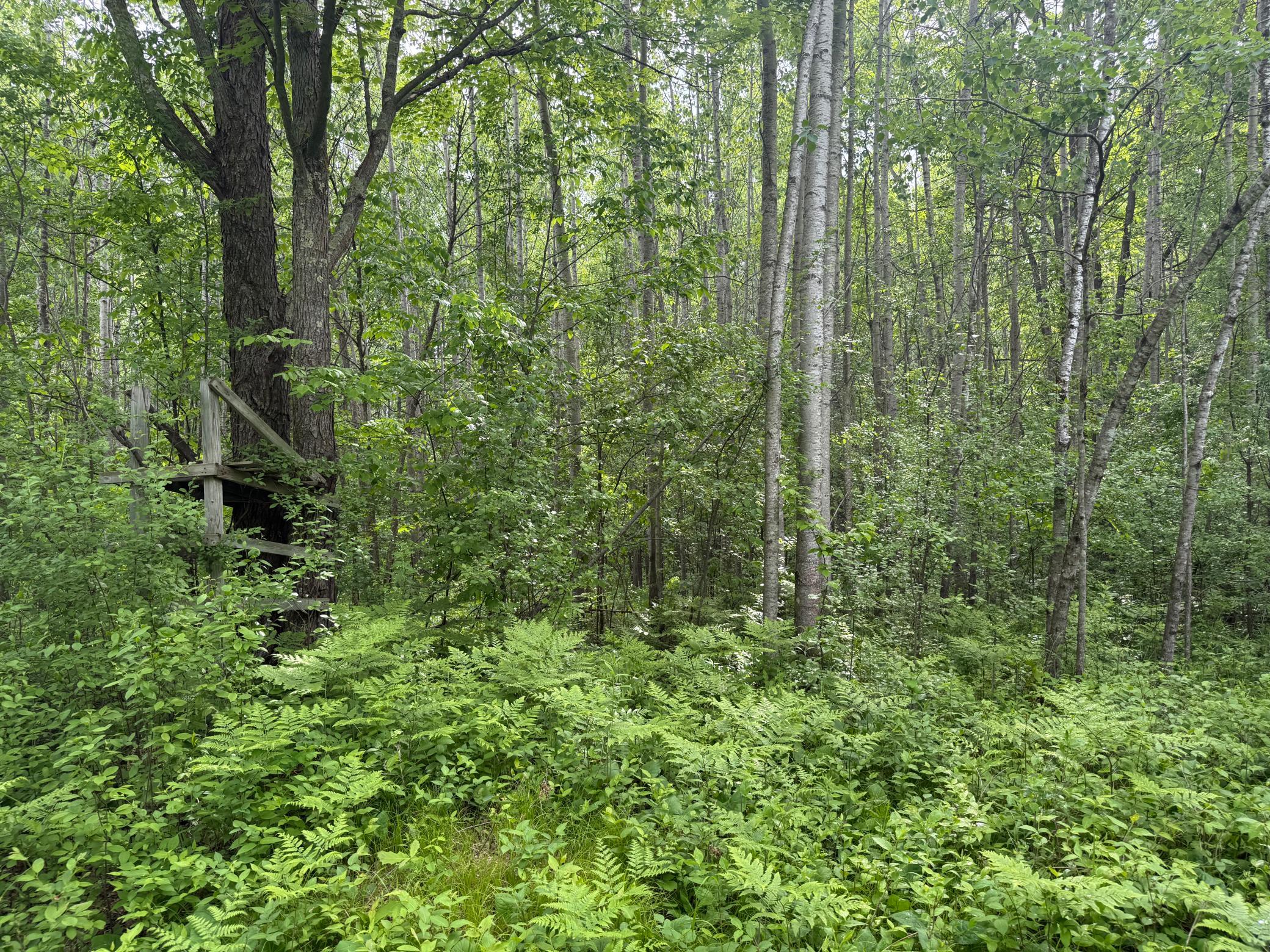 10551 Mallard Road Brook Park, MN 55007 - Photo 19 of 44