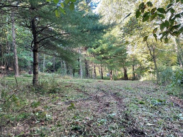 Tbd Pine Run Road Draper, VA 24324 - Photo 16 of 19 Gallery Image 16