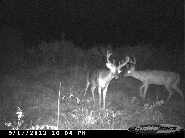 0 Knoxo Columbia Road Carthage, MS 39051 - Photo 1 of 1 Main View