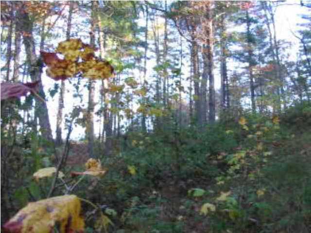 4 Mine Hollow Road Reliance, TN 37369 - Photo 2 of 5 Additional Photo