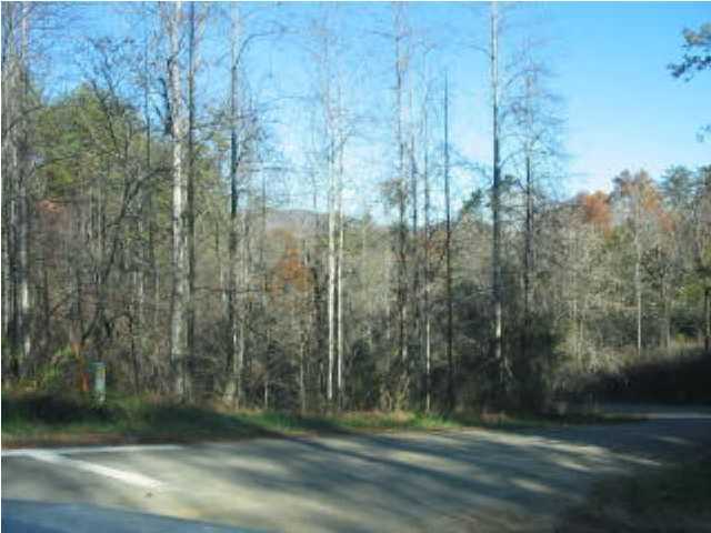 4 Mine Hollow Road Reliance, TN 37369 - Photo 3 of 5 Additional Photo