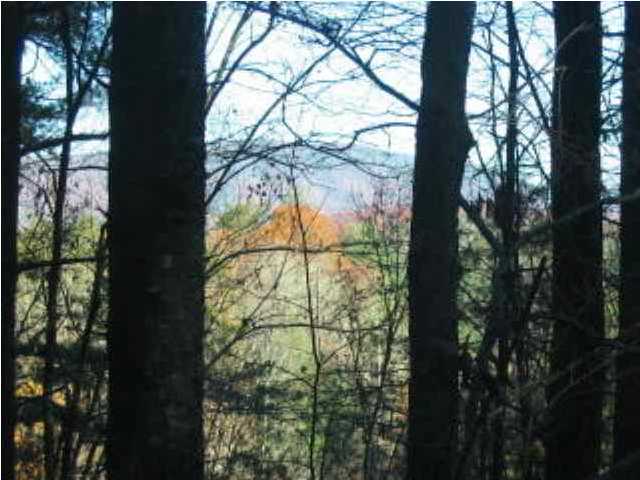 4 Mine Hollow Road Reliance, TN 37369 - Photo 5 of 5 Additional Photo