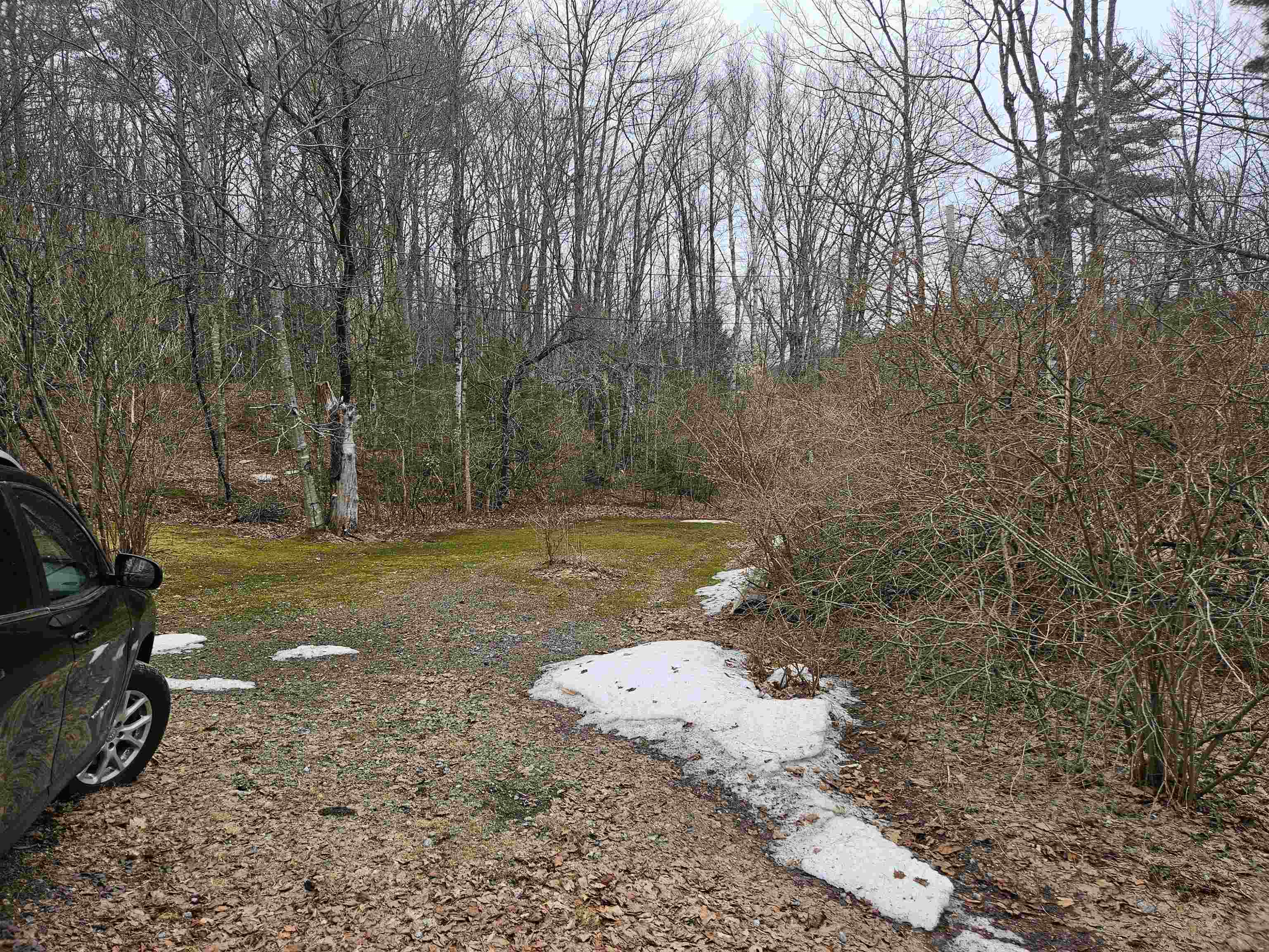 560 Bog Road Campton, NH 03223 - Photo 8 of 59