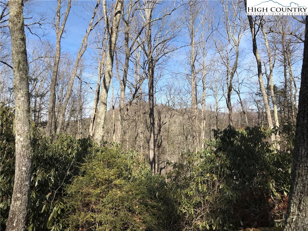 7382 Alford Ridge Road Newland, NC 28657 - Photo 8 of 20 Gallery Image 8