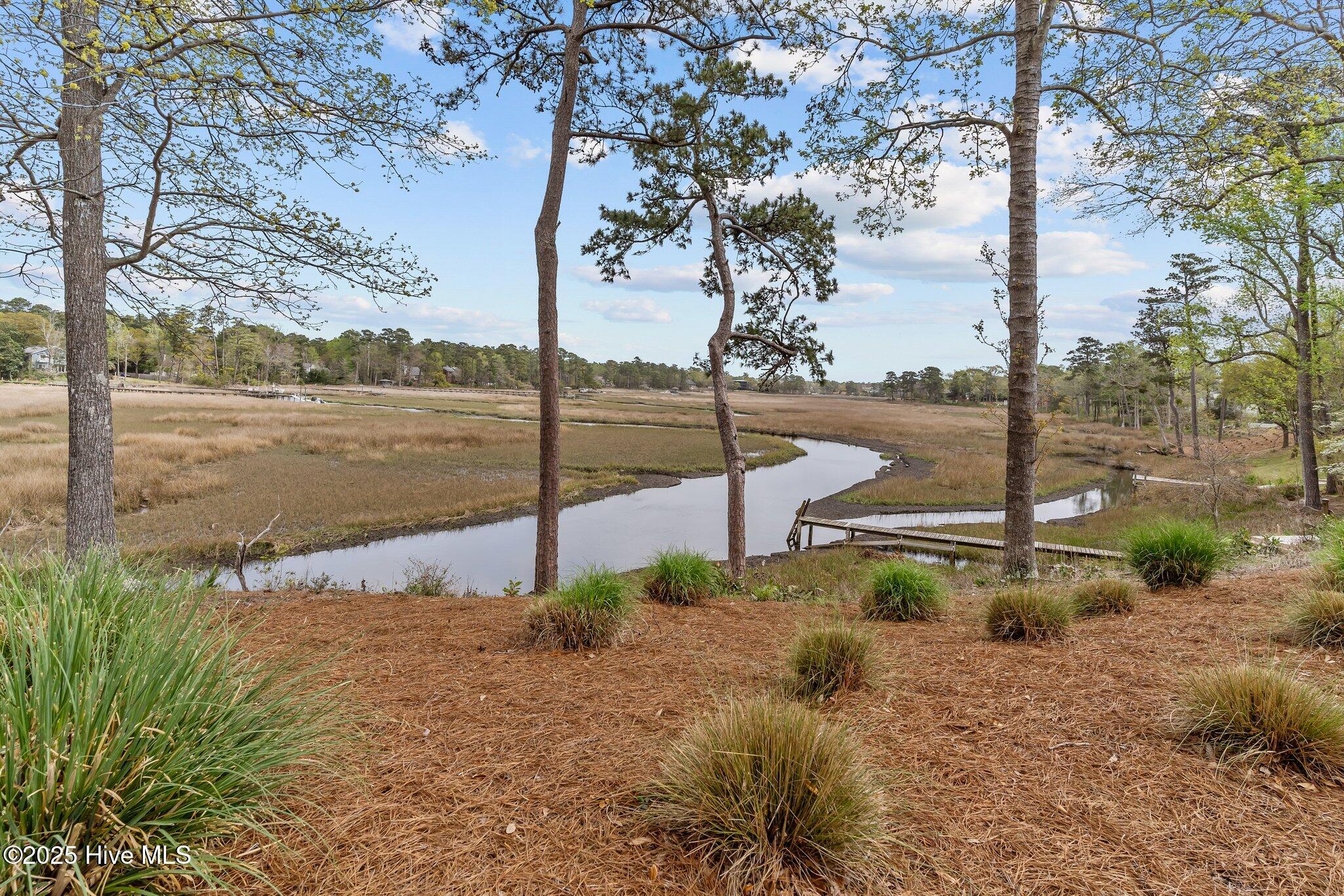 605 Dundee Drive Wilmington, NC 28405 - Photo 33 of 92 63-web-or-mls-BTS08331