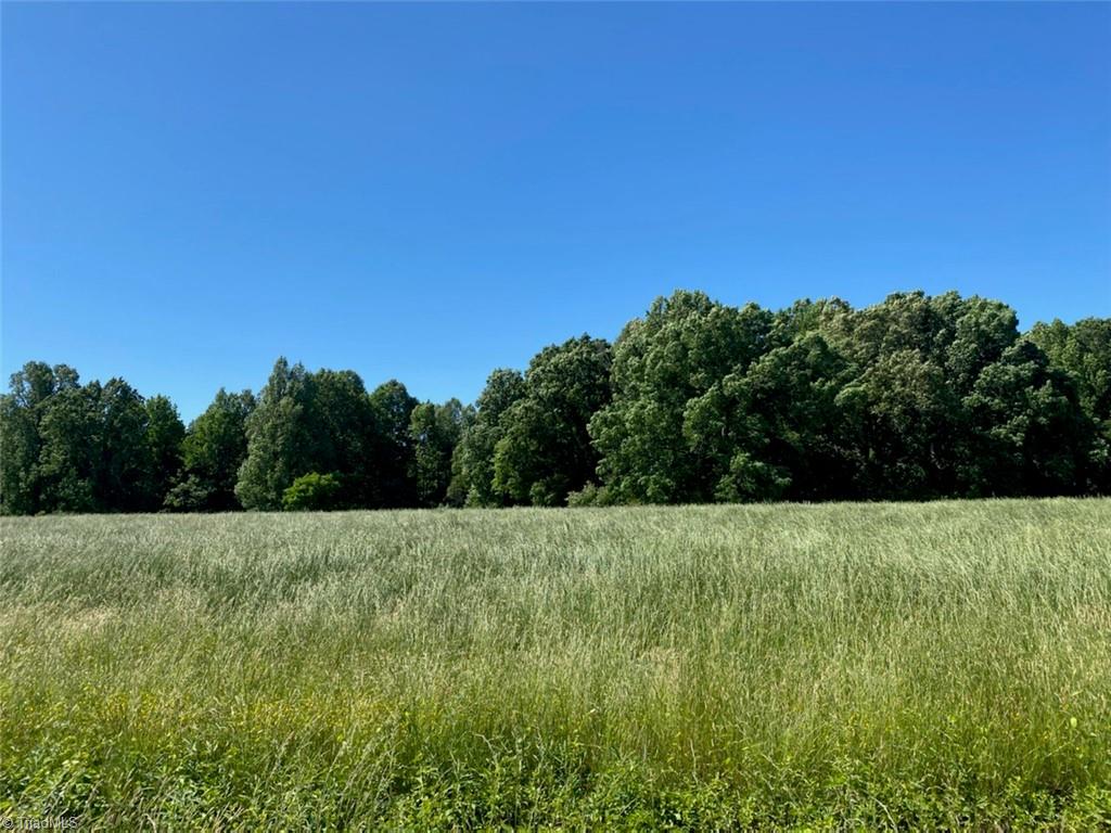 5 Brooksdale Road Staley, NC 27355 - Photo 1 of 2 Gallery Image 1