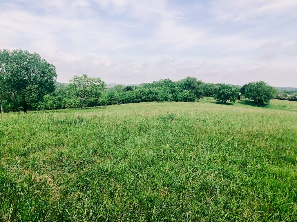 5 Neal Road Watertown, TN 37184 - Photo 1 of 20 Gallery Image 1