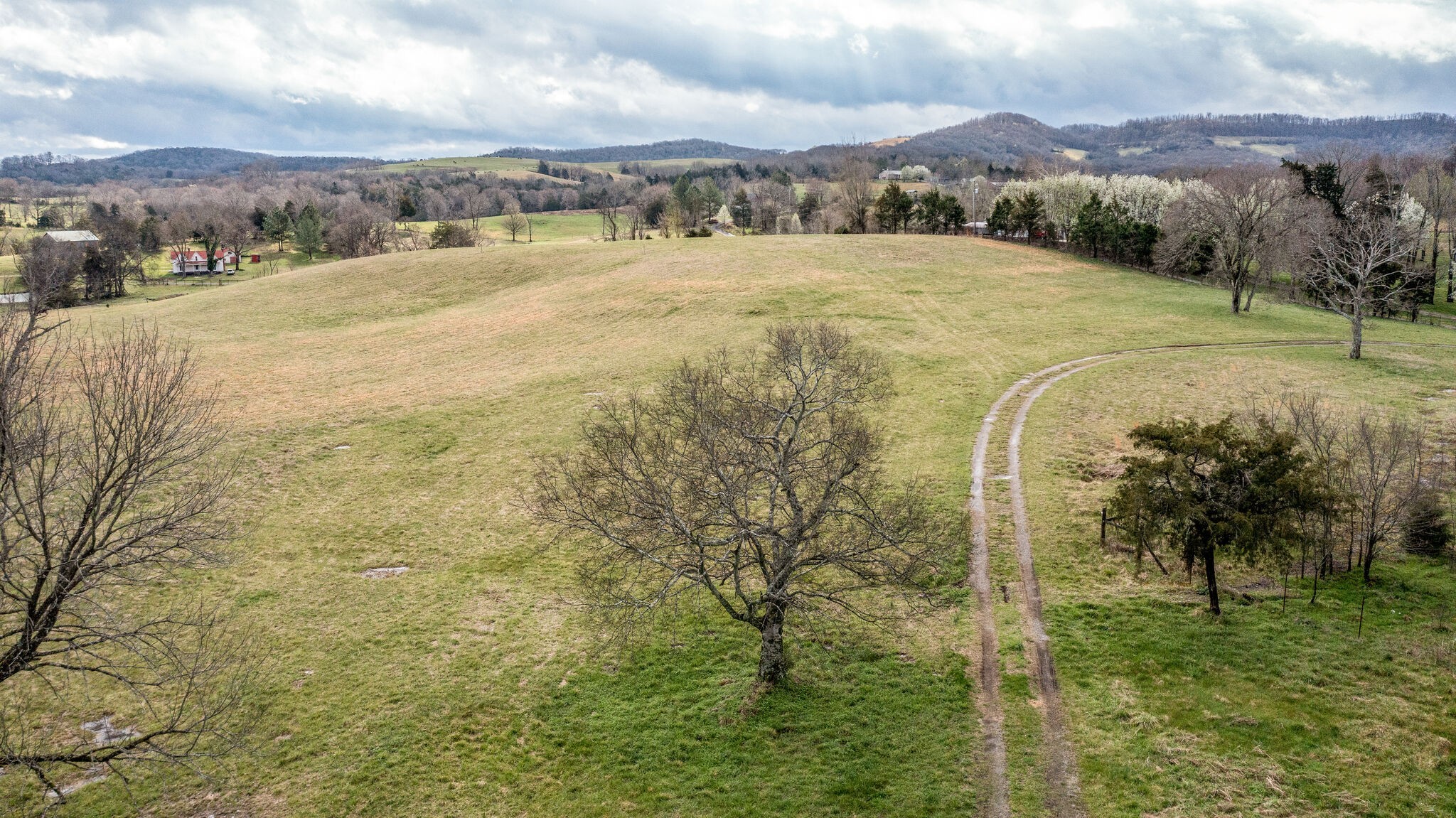 5 Neal Road Watertown, TN 37184 - Photo 9 of 20 Gallery Image 9