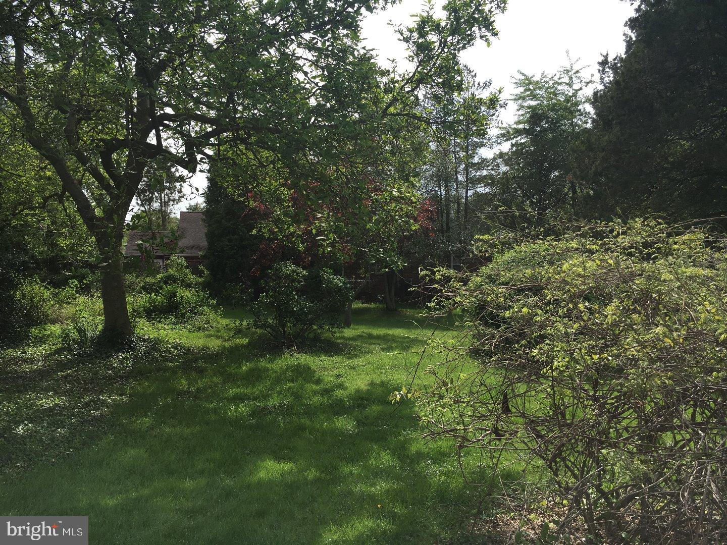 315 Brookhaven Road Brookhaven, PA 19015 - Photo 8 of 11