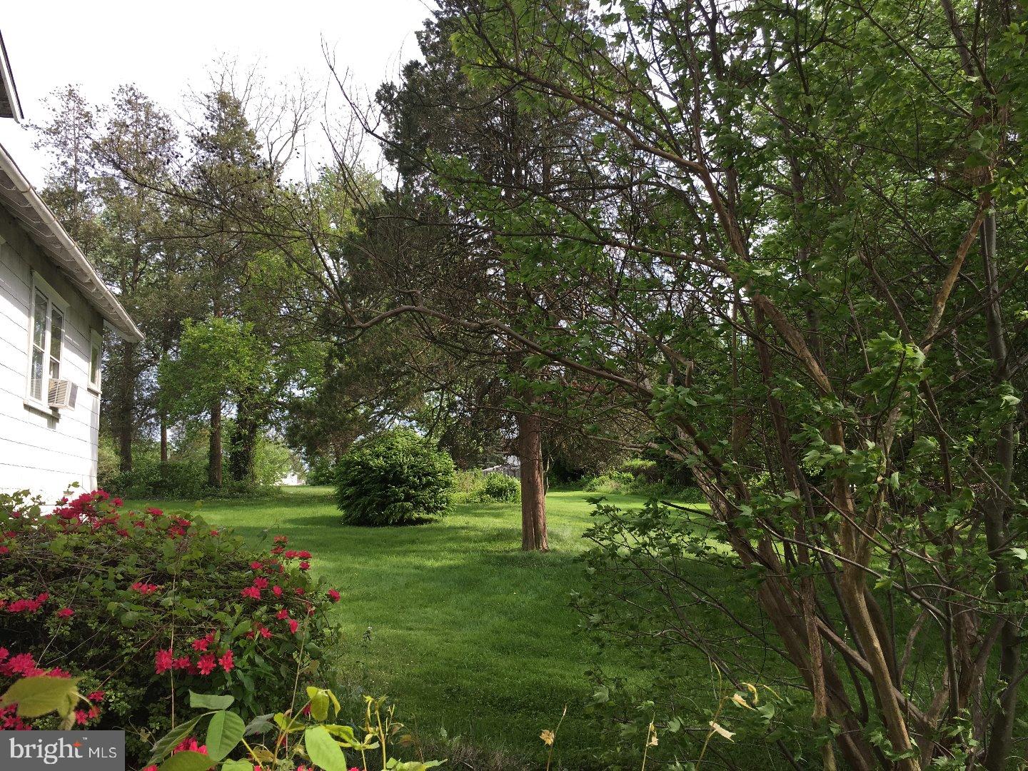 315 Brookhaven Road Brookhaven, PA 19015 - Photo 10 of 11