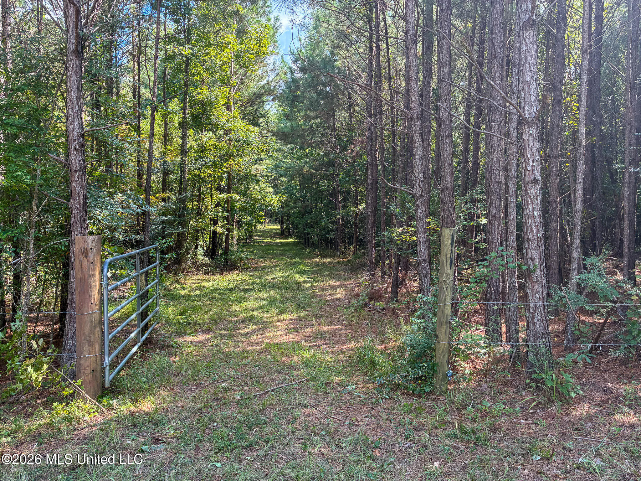 Harvey Road Carthage, MS 39051 - Photo 2 of 9 IMG_5217 - Copy
