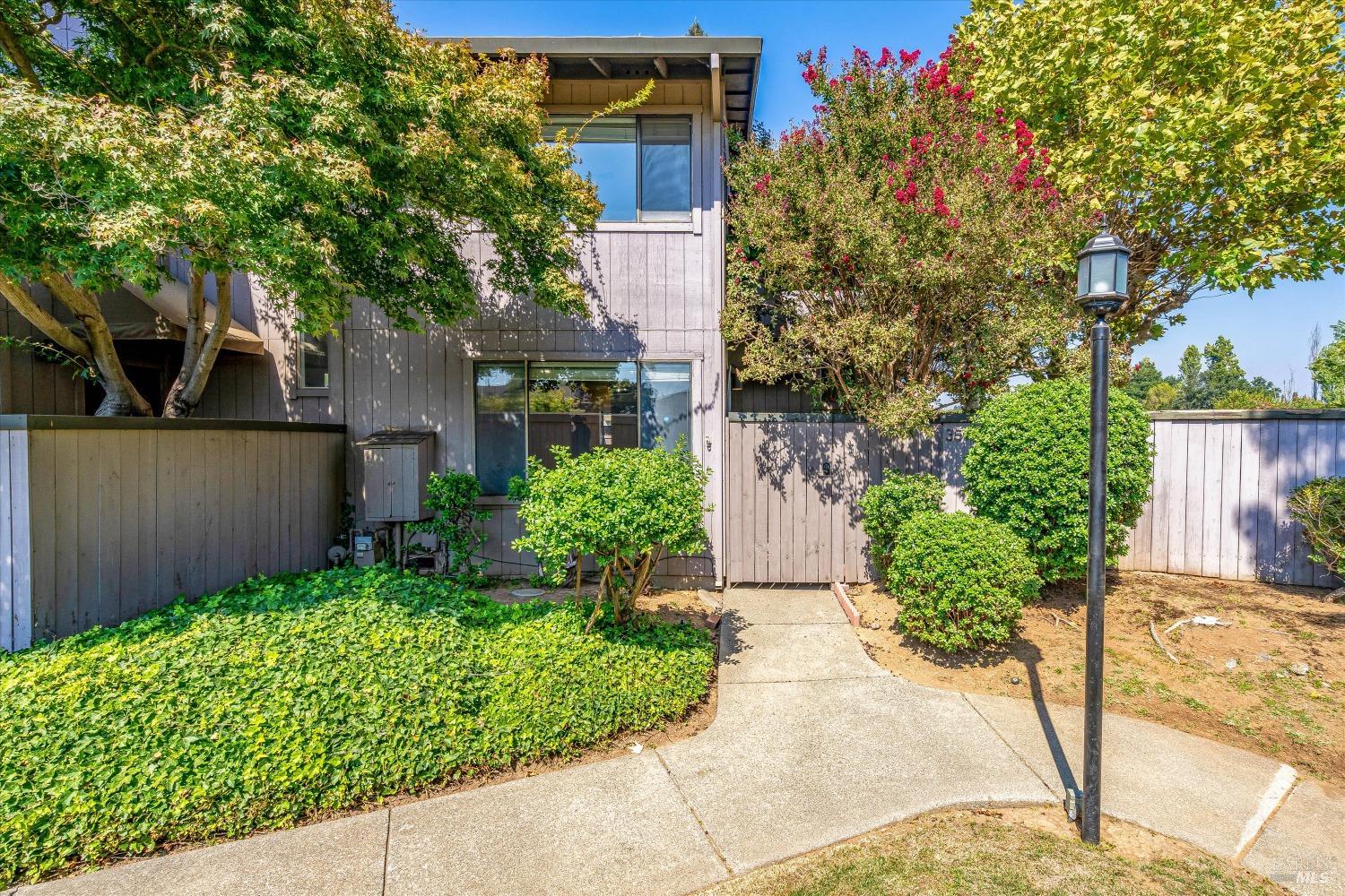 a view of a backyard with potted plants and large tree