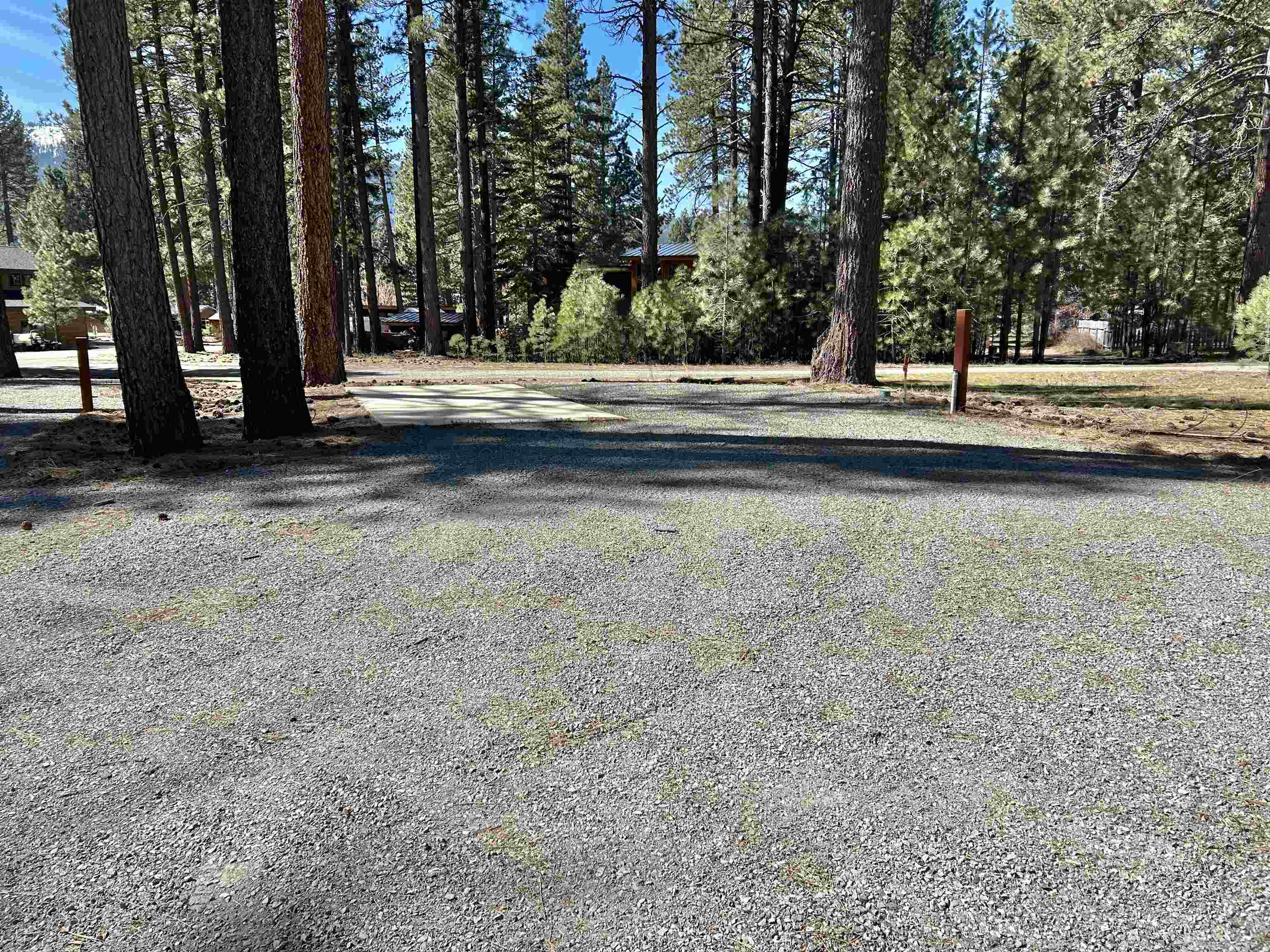 329 Clio State 40A Road Clio, CA 96106 - Photo 6 of 32