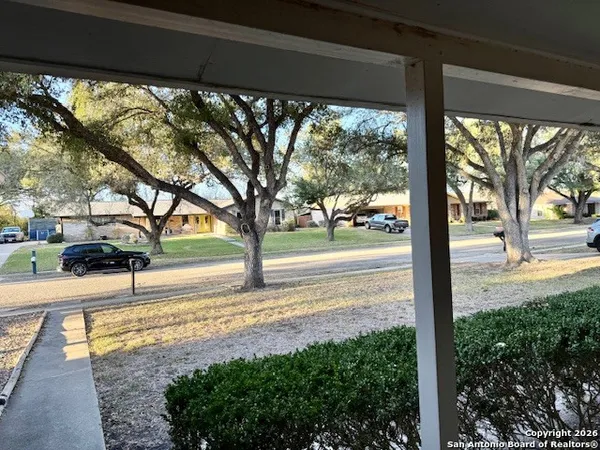 a view of a yard with a tree