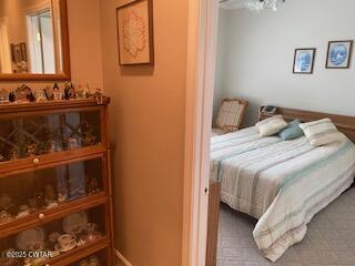 3643 Mt Carmel Road Decaturville, TN 38329 - Photo 27 of 71 a bedroom with a bed and a dresser