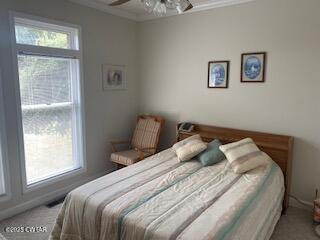 3643 Mt Carmel Road Decaturville, TN 38329 - Photo 28 of 71 a bedroom with a bed and a window