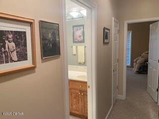 3643 Mt Carmel Road Decaturville, TN 38329 - Photo 30 of 71 IMG_3093