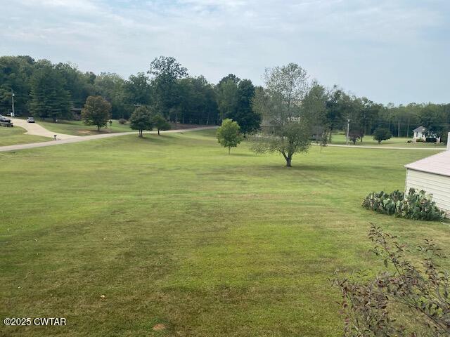 3643 Mt Carmel Road Decaturville, TN 38329 - Photo 37 of 71 a view of a water fountain and a big yard