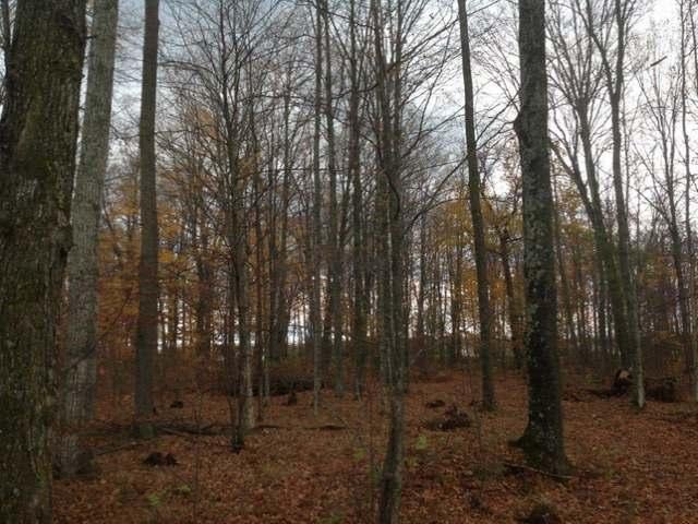 Three Winkler Road, Unit LOT 2 Three Lakes, WI 54562 - Photo 1 of 8 Gallery Image 1