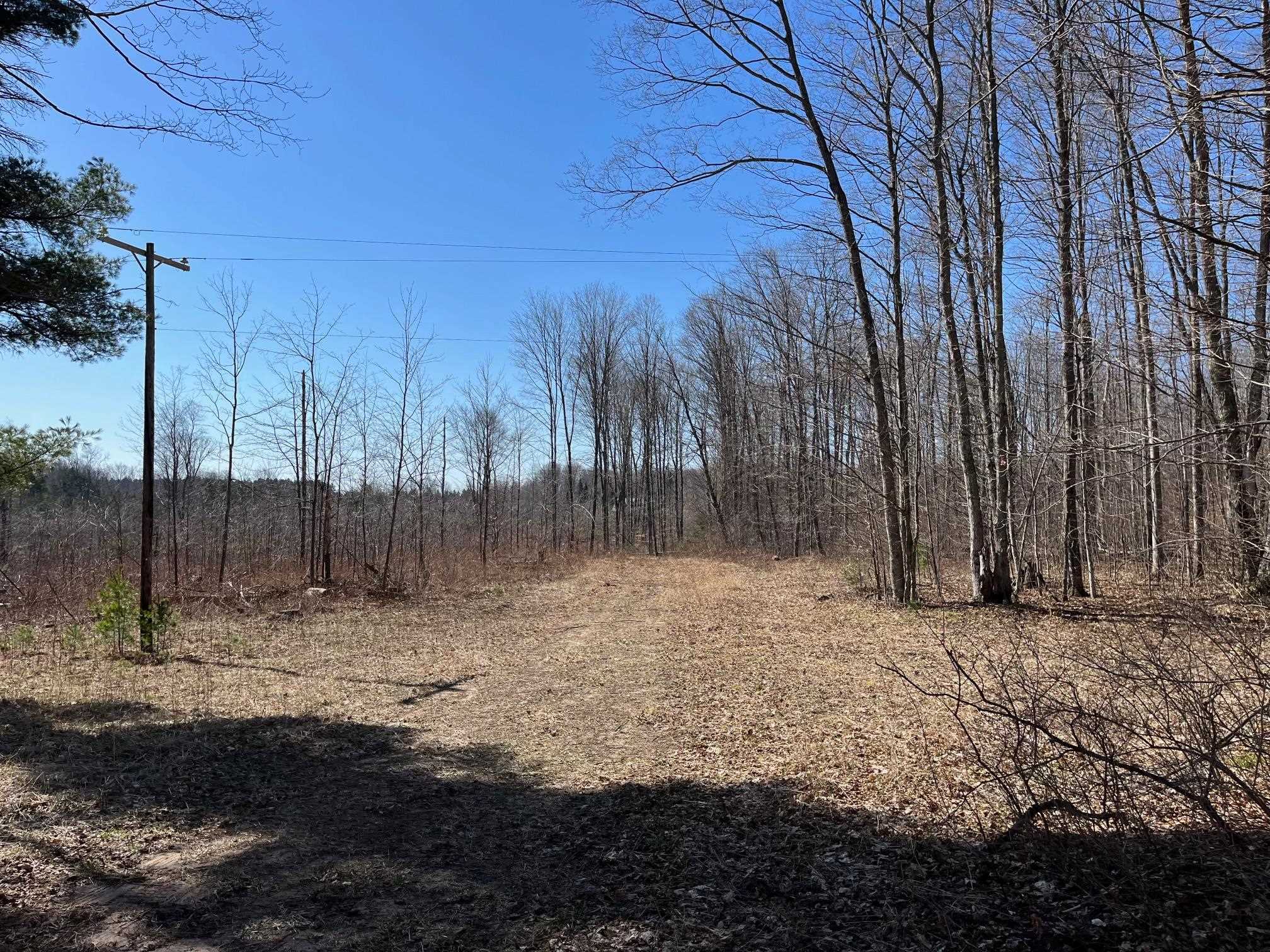 3 King Road, Unit LOT: 3 Benzonia, MI 49616 - Photo 3 of 14