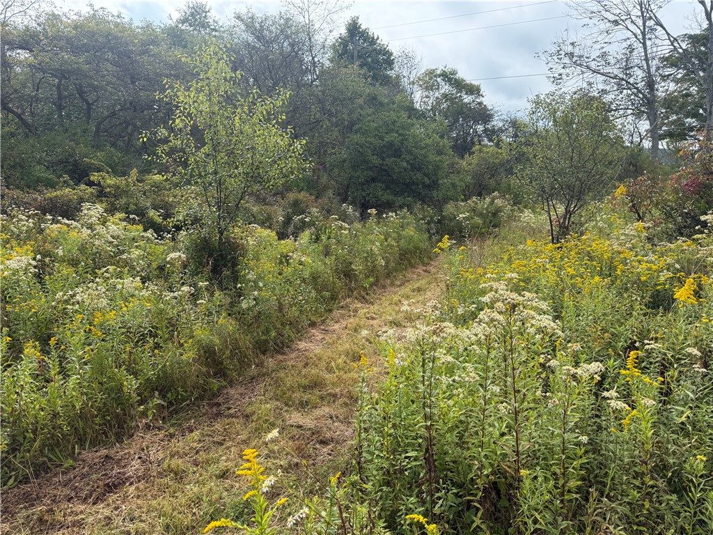 512 Fisher Road Alfred, NY 14806 - Photo 43 of 46 30-acre parcel