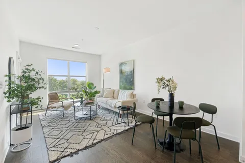 a living room with furniture and a potted plant