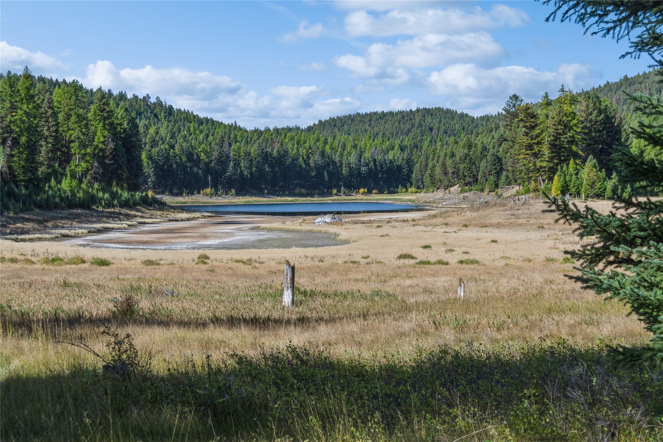 3217 Loon Lake Road Trego, MT 59934 - Photo 17 of 39 Gallery Image 17
