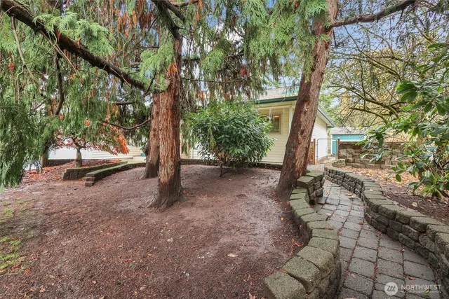 a view of a forest with trees