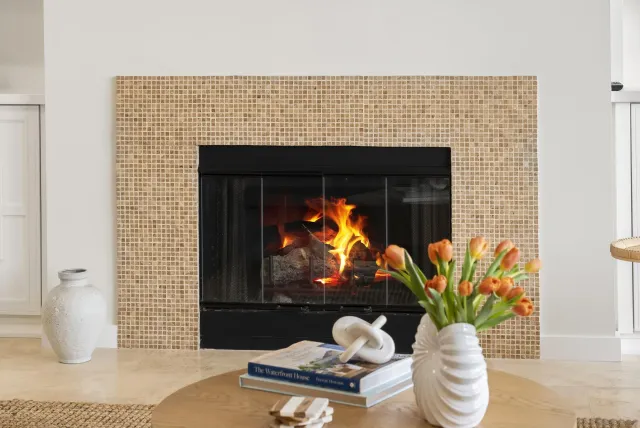 a room with furniture and a potted plant