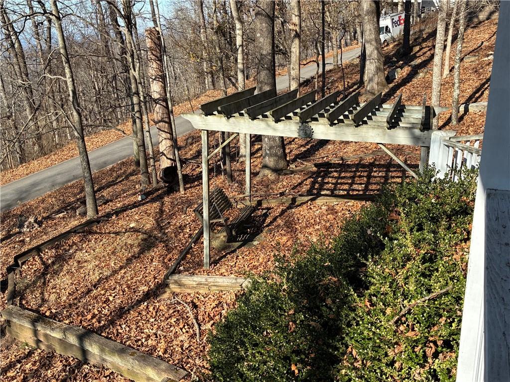 28 Little Hendricks Mountain Road Jasper, GA 30143 - Photo 38 of 42 a view of a yard with plants and trees