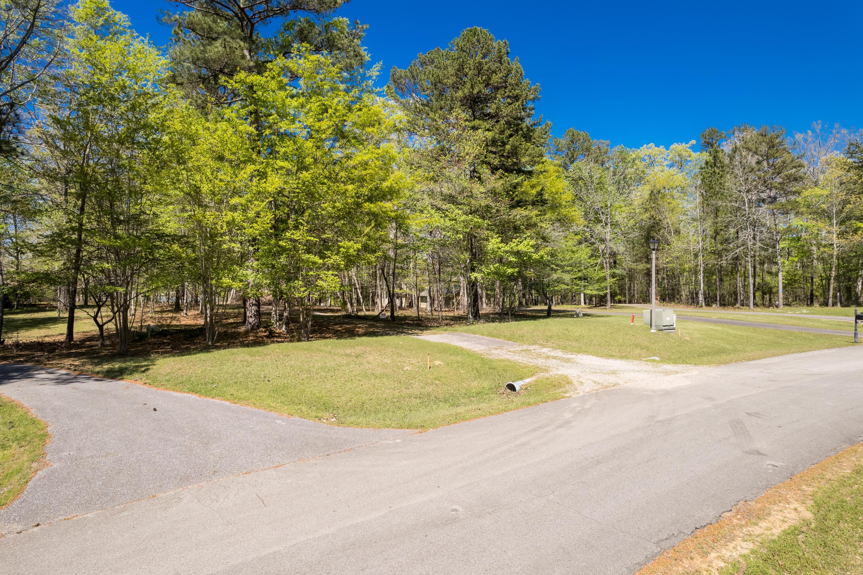 567 Stoney Point Road South Double Springs, AL 35553 - Photo 19 of 22 Roadside
