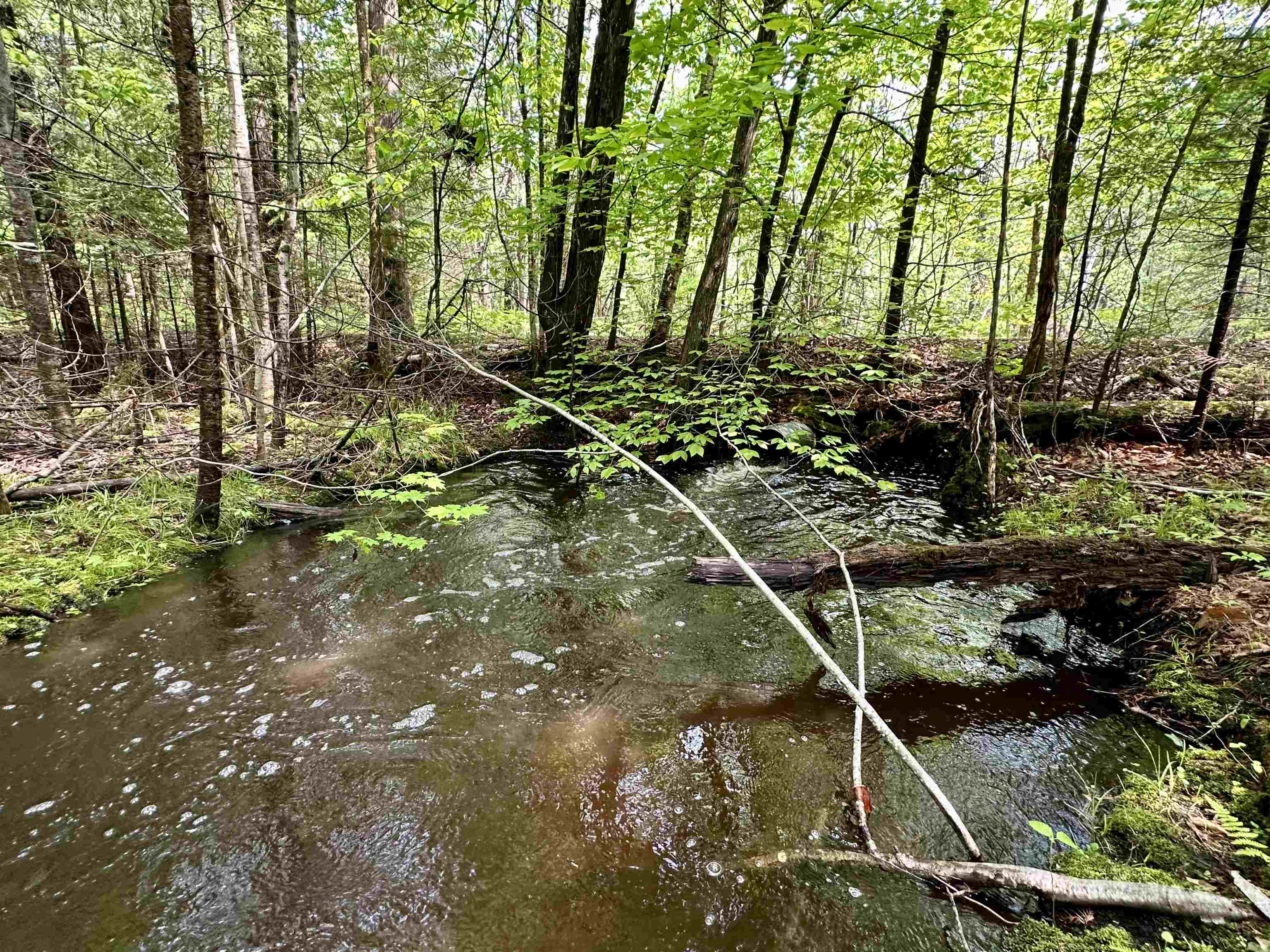 90-acres East Otto Road Suttons Bay, MI 49682 - Photo 39 of 68 Gallery Image 39