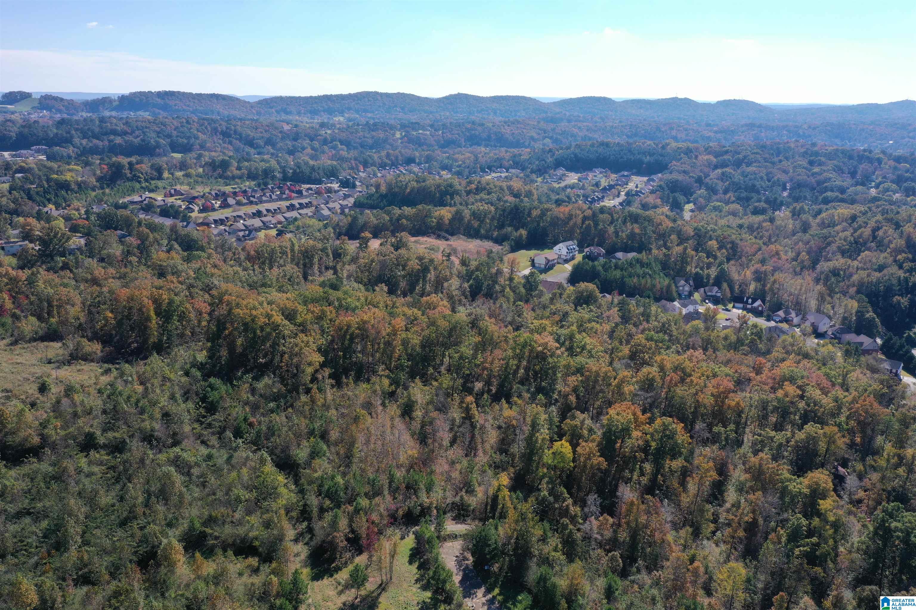 2565 Sweeney Hollow Road, Unit 1 Birmingham, AL 35215 - Photo 3 of 16