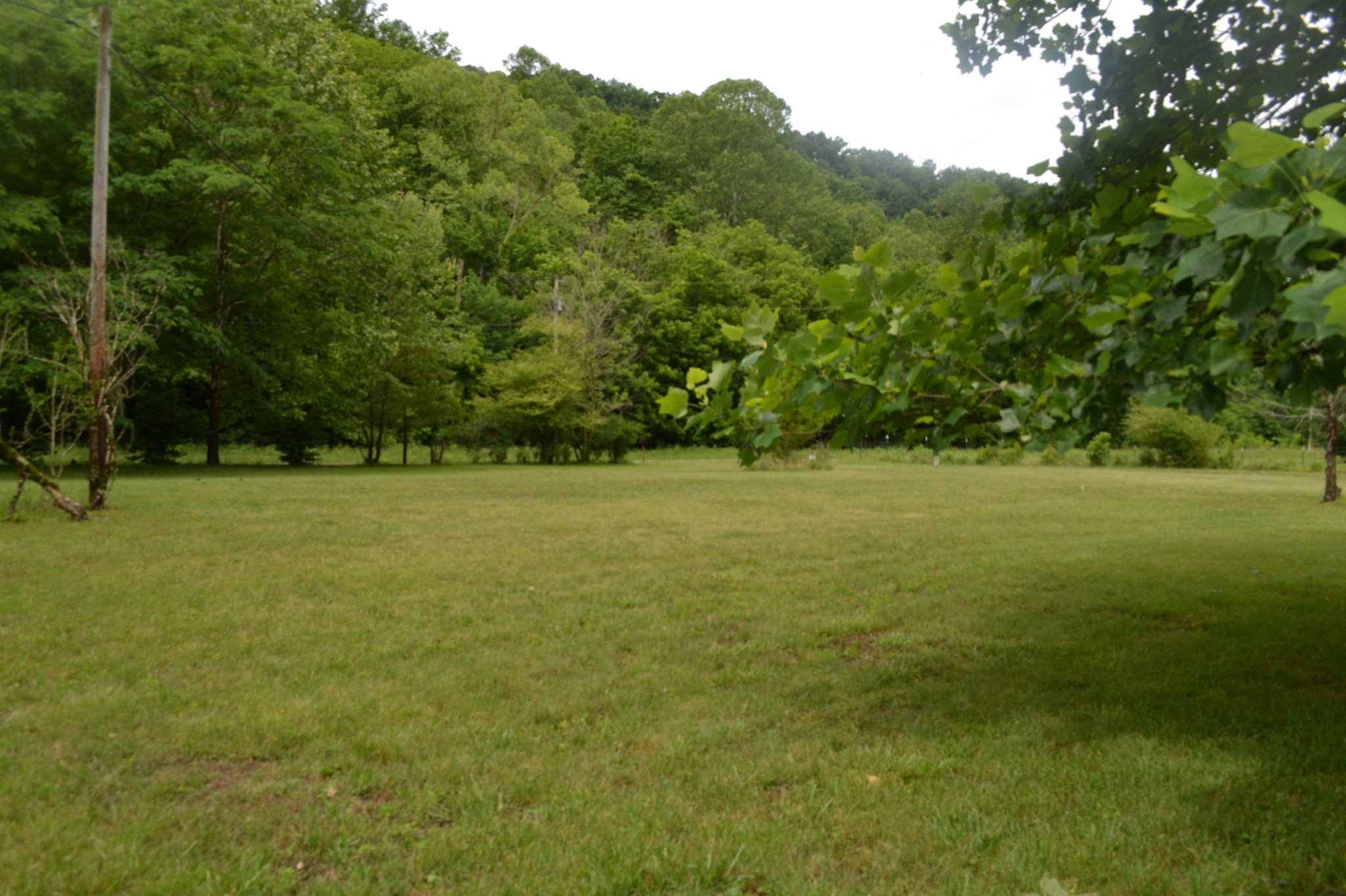 1505 Add Stafford Road Hilham, TN 38568 - Photo 45 of 65 a view of a field with a trees in the background