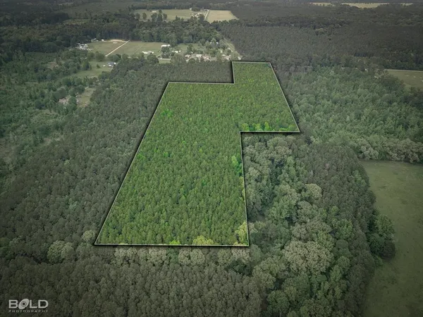 $157,000 | 0 Boothville Road, Doyline, LA 71023