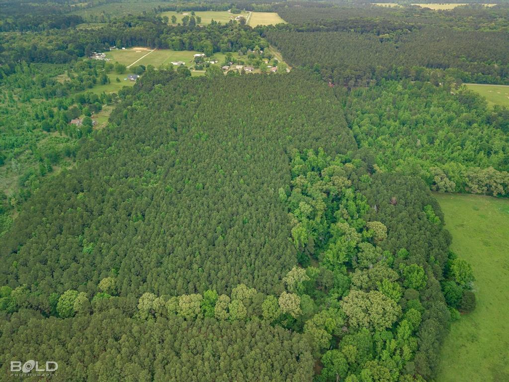 0 Boothville Road Doyline, LA 71023 - Photo 12 of 24