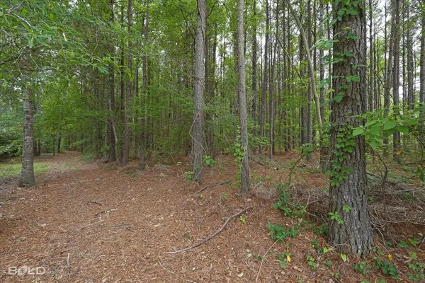 $157,000 | 0 Boothville Road, Doyline, LA 71023